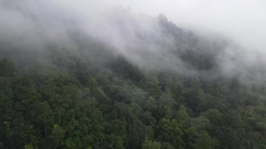 Endonezya yakınlarındaki sisli yağmur ormanlarının hava manzarası