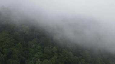 Endonezya yakınlarındaki sisli yağmur ormanlarının hava manzarası