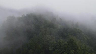 Endonezya yakınlarındaki sisli yağmur ormanlarının hava manzarası