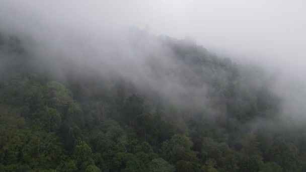 인도네시아 근처의 안개낀 강우림을 공중에서 내려다본 — 비디오