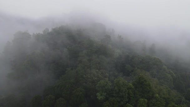 Luftaufnahme Des Nebligen Regenwaldes Der Nähe Des Dorfes Indonesien — Stockvideo