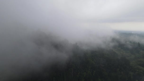 Luchtfoto Van Mistig Regenwoud Nabij Dorp Indonesië — Stockvideo