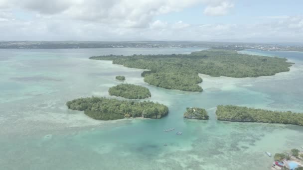 Endonezya Nın Maluku Şehrinde Küçük Bir Adanın Bulunduğu Güzel Sahil — Stok video