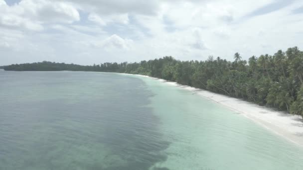 Beyaz Deniz Manzarası Güneşli Tropik Plaj Manzarası — Stok video