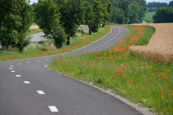 Road — Stock Photo, Image