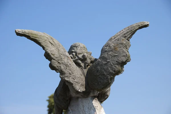 Ангел статуя — стокове фото