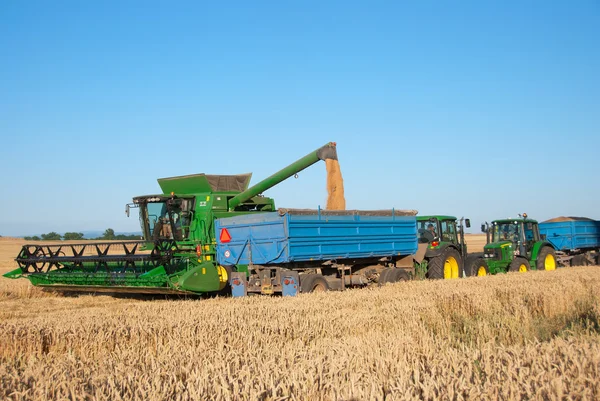 Green grain harvester — Stock Photo, Image