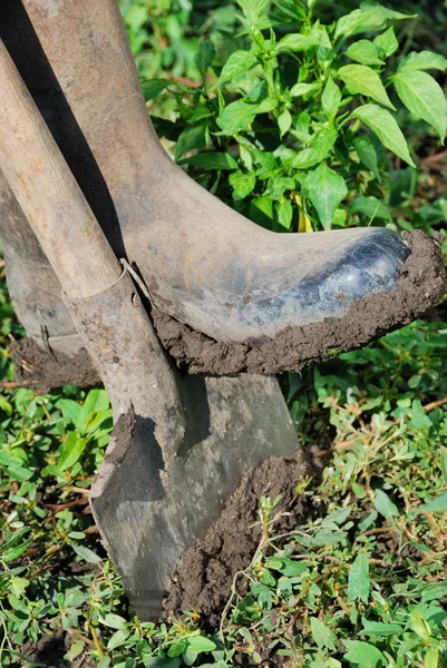 Working rubber boots — Stock Photo, Image