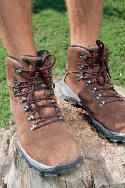 trekking Ayakkabı