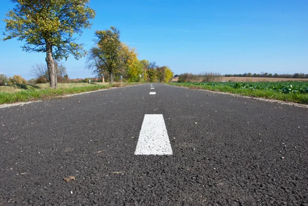 Carril bici —  Fotos de Stock