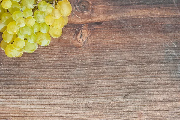 Grapes — Stock Photo, Image