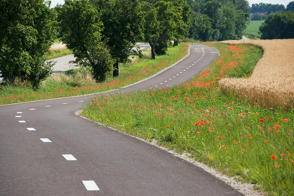 Caminho de bicicleta — Fotografia de Stock