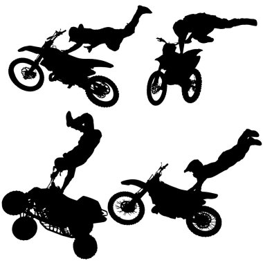 vektör siluet fmx