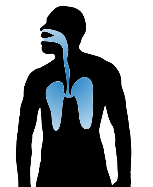 Silueta respirar las vías respiratorias — Archivo Imágenes Vectoriales