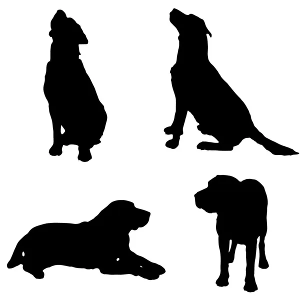 Vectorsilhouet van een hond. — Stockvector