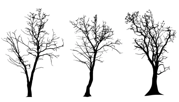 Silueta vectorial del árbol . — Vector de stock