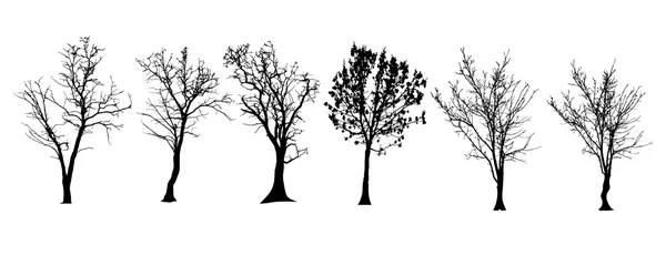 Vektor silhuett av träd. — Stock vektor