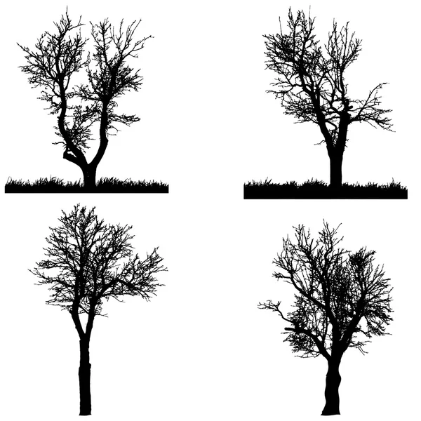 Silueta vectorial del árbol . — Vector de stock