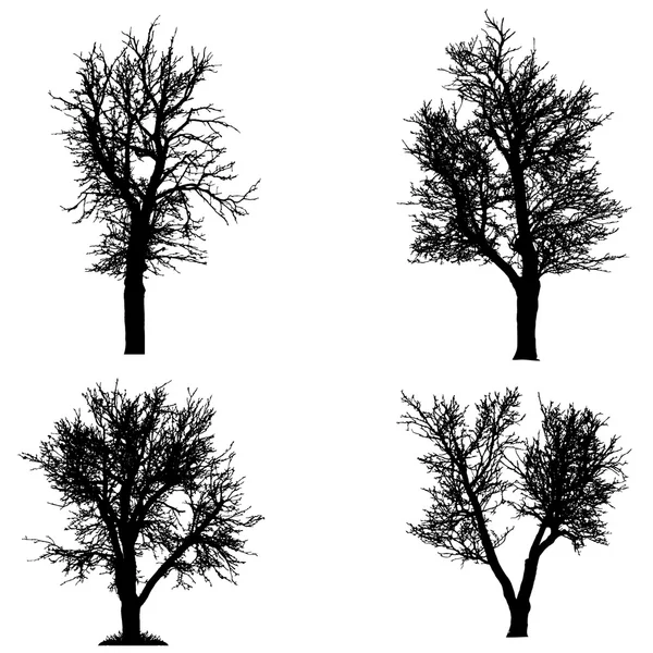 Silueta vectorial del árbol . — Archivo Imágenes Vectoriales