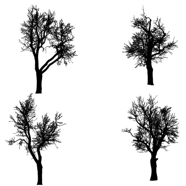 Silueta vectorial del árbol . — Vector de stock