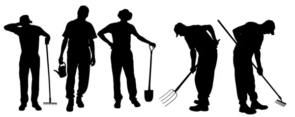 Bahçıvan siluet vektör.