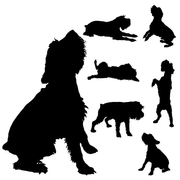 Vektorsilhouette eines Hundes. — Stockvektor