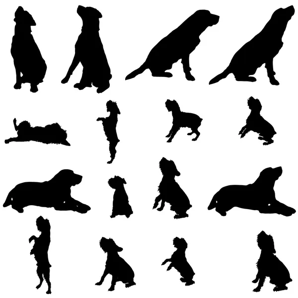 Vektorsilhouette eines Hundes. — Stockvektor