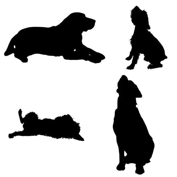 Vektorsilhouette eines Hundes. — Stockvektor