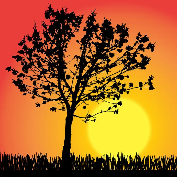 Silhouette vectorielle de l'arbre . — Image vectorielle