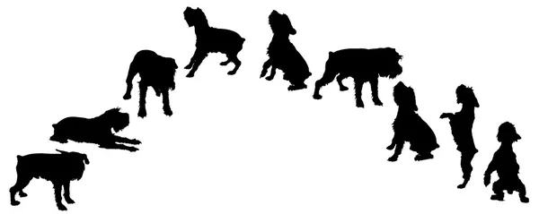 Vectorsilhouet van een hond. — Stockvector