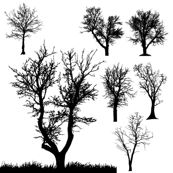 Vector silhouet van boom. — Stockvector