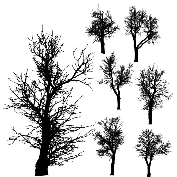 Vektorové siluetu stromu. — Stockový vektor