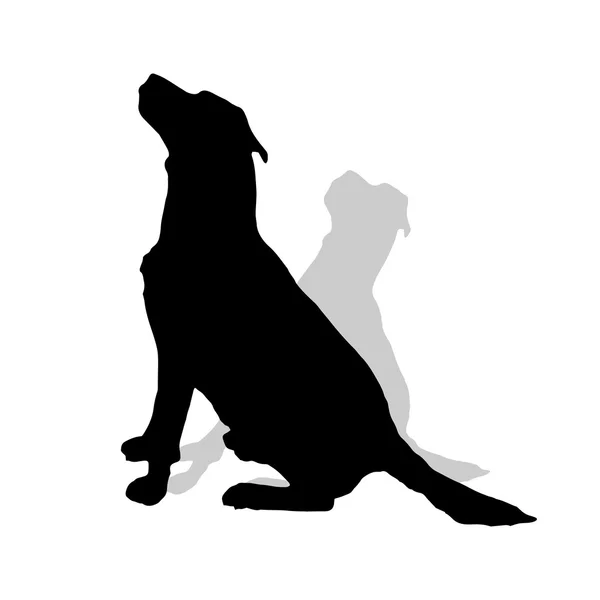 Vector silhouette of a dog. — Stock Vector