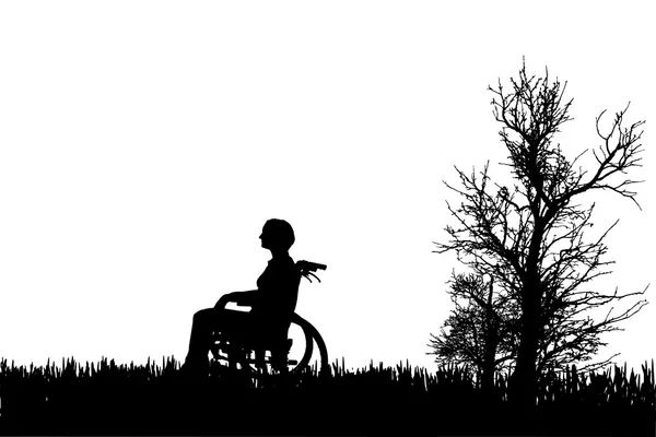 Silhouettes vectorielles de personnes en fauteuil roulant . — Image vectorielle