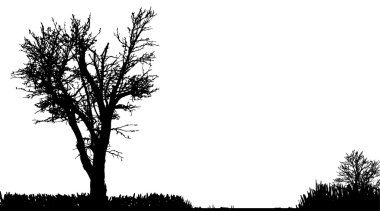 doğanın siluet vektör.