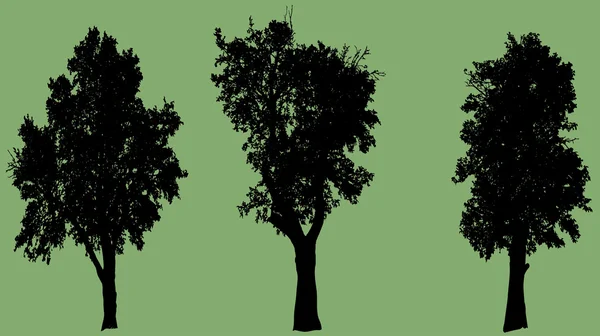 Bomen — Stockvector