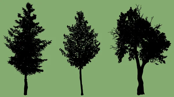 Arbres — Image vectorielle