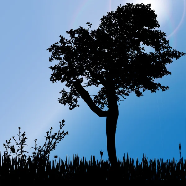 Drzewo o zachodzie słońca — Wektor stockowy