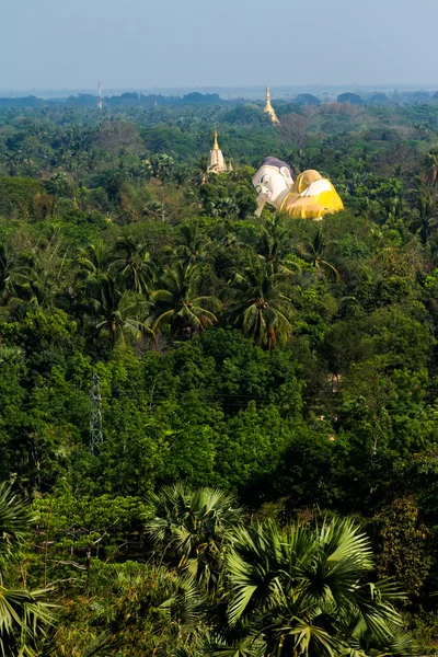 Buddha liggen in jungle — Stockfoto