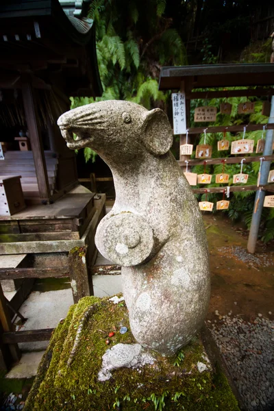 Rat statue — Stock Photo, Image