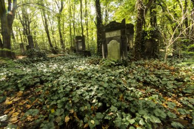 Lodz eski Yahudi Mezarlığı