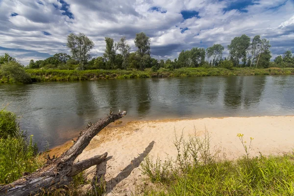 Riva del fiume — Foto Stock