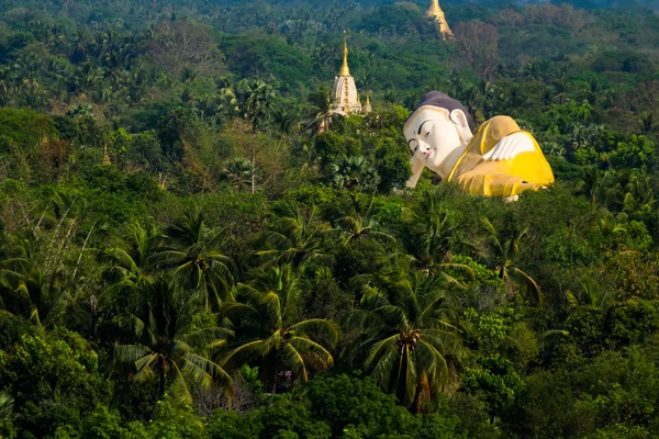 Buddha acostado en la selva — Foto de Stock