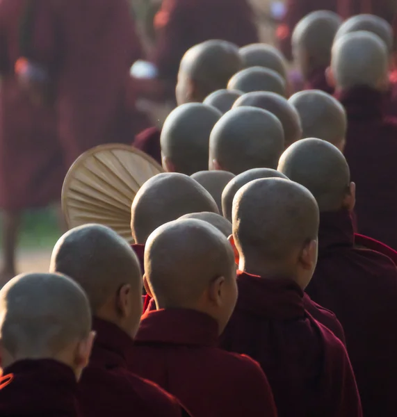 仏教の僧侶のグループ — ストック写真