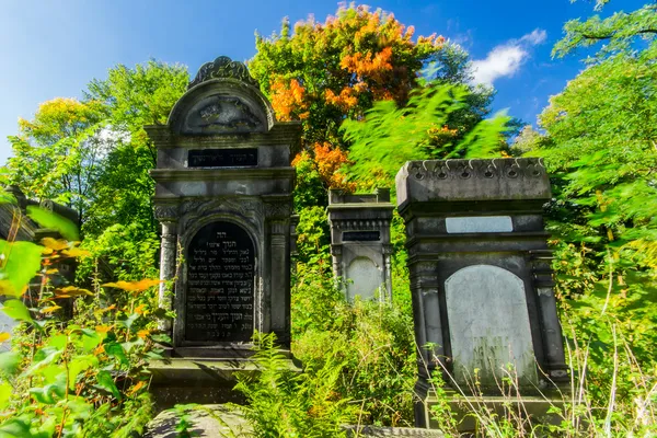 Oude Joodse begraafplaats in lodz — Stockfoto