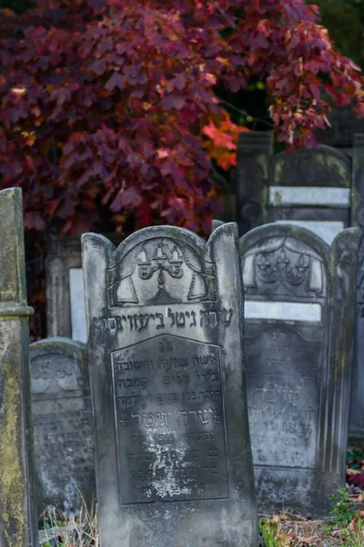 Vecchio cimitero — Foto Stock