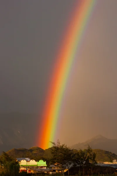 Rainbow ile peyzaj