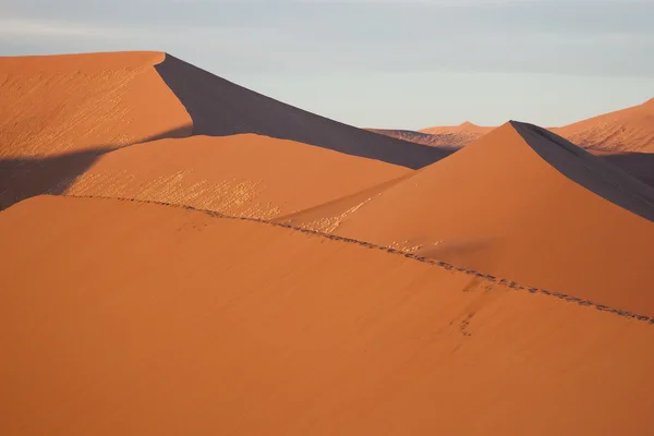 Dunas de areia — Fotografia de Stock