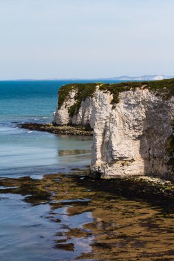 Dover 'ın Beyaz Kayalıkları