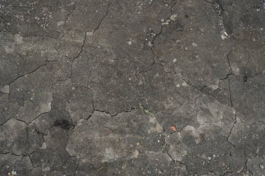 Yeşil filizler kuru toprak toprak toprağını delip geçiyor kuraklık arka plan görünümünü bozuyor